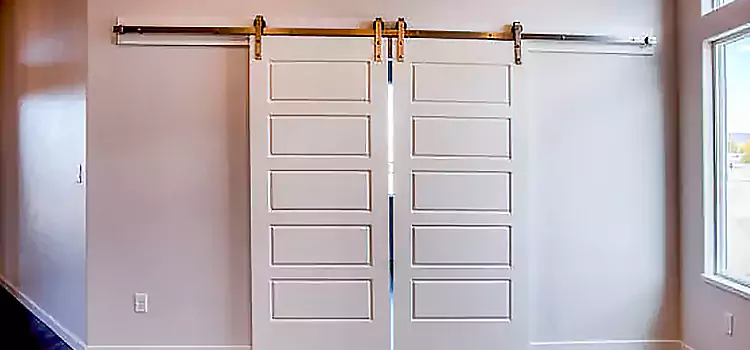 Glass Barn Door with Installation Hardware Kit Zanesville
