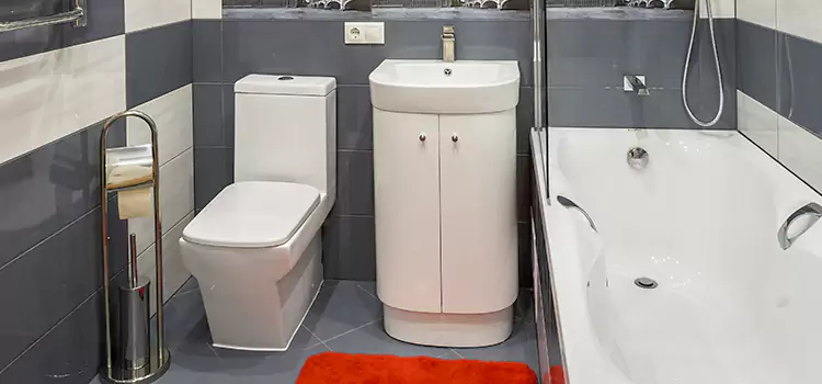 Hansgrohe Shaving Mirror Zanesville